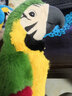 惠妮寶貝仿真鳥(niǎo)兒金剛鸚鵡公仔毛絨玩具玩偶可愛(ài)小鳥(niǎo)布娃娃兒童生日禮物 綠色鸚鵡  25厘米 曬單實(shí)拍圖