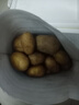 內(nèi)蒙土豆烏蘭察布2024年土豆新鮮蔬菜土豆黃心馬鈴薯黃皮土豆 凈重9斤 曬單實(shí)拍圖