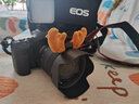 佳能（Canon） EOS 90D套機(jī)  單反相機(jī) 佳能90d 單機(jī) EOS新款vlog數(shù)碼相機(jī) 佳能90D單機(jī)身+18-135USM拆鏡頭套裝 套餐五【256G高速卡~卡色金環(huán)UV~高端三腳架】 曬單實(shí)拍圖