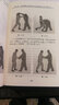 特種部隊徒手格斗術(shù) 武術(shù)教程書籍 擒拿格斗教材 地面纏斗擒拿徒手搏擊技術(shù)擒拿格斗書自由搏擊近身格斗術(shù) 人民體育出版社 曬單實拍圖