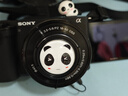 索尼/Sony ZV1 ZVE1 ZVE10 ZV-E10二手微單相機(jī)4K直播視頻Vlog卡片機(jī) ZV-E10+16-50 95新  顏色隨機(jī) 曬單實(shí)拍圖