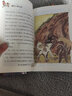 國(guó)際大獎(jiǎng)小說全套5冊(cè) 屋頂上的小孩 親愛的漢修先生 蘋果樹上的外婆 愛上讀書的妖怪 外公是棵櫻桃樹 套裝單本可自選 兒童文學(xué)中小學(xué)生課外閱讀書籍 套裝5冊(cè) 新華書店 曬單實(shí)拍圖