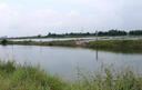 A30KY改底王過硫酸氫鉀復(fù)合鹽水產(chǎn)養(yǎng)殖魚蝦蟹塘分解淤泥調(diào)水凈水降氨氮 50%含量-500g/袋【水產(chǎn)專用緩釋型】 曬單實(shí)拍圖
