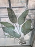 歐仕圖（OUSHITU）墻貼自粘 植物墻壁裝飾貼畫沙發(fā)電視背景墻diy貼紙走廊櫥窗玻璃貼 清新綠意 曬單實拍圖