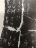 中國(guó)碑帖名品【一】甲骨文名品 正版原碑帖 附釋文注釋 繁體旁注 臨摹甲骨文毛筆字帖 上海書(shū)畫(huà)出版社 曬單實(shí)拍圖