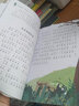 【全系列自選】國際大獎兒童文學(xué)獲獎小說(shuō)注音版  一二三年級課外閱讀必讀書(shū)籍7-10歲中外名著(zhù) 國際獲獎小說(shuō)學(xué)生課外必讀叢書(shū) 尼爾斯騎鵝旅行記柳林風(fēng)聲海底兩萬(wàn)里昆蟲(chóng)記綠野仙蹤綠山墻的安妮吹牛大王歷險記  曬單實(shí)拍圖