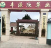 漢家匠農村迎門(mén)墻瓷磚外墻壁畫(huà)別墅庭院福滿(mǎn)堂山水影壁照壁微晶石裝飾畫(huà) 款式一 高溫釉面瓷磚 不褪色0.1平方 曬單實(shí)拍圖