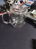德國(guó)進(jìn)口品質(zhì)花茶杯玻璃杯耐熱過(guò)濾泡茶杯家用茶水分離杯套裝保溫養(yǎng)生帶把杯子的 腰鼓450（帶茶漏）單支體驗(yàn) 曬單實(shí)拍圖