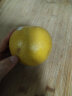 沙窝曙光（shawoshuguang）进口红心西柚爆汁红肉柚子纯甜红柚子 2斤200-300g/个（约4个） 实拍图