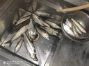 辰義釣鰱鳙籠手竿小彈簧餌鰱鳙托餌器線組彈簧專用爆炸鉤漁具釣魚配件 鰱鳙彈簧（50個裝） 曬單實拍圖