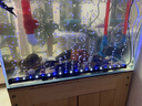 魚之眼魚缸燈led燈防水造景燈水族燈照明燈氣泡條燈管水族箱增氧氣泡燈 55cm 藍(lán)白款 不帶氧氣泵 曬單實(shí)拍圖