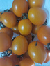 京喜加夏日陽光小番茄黃色迷戀圣女果即食水果小柿子現(xiàn)摘現(xiàn)發(fā)減肥 黃色圣女果三斤裝 曬單實(shí)拍圖