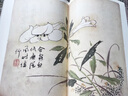 【現(xiàn)貨速發(fā)】芥子園畫傳 畫譜 康熙李漁版原寸原色全彩圖 山水樹石蘭竹梅菊草叢珍禽翎毛花卉 江西美術(shù) 國畫入門 初學(xué)者 臨摹收藏皆宜 曬單實(shí)拍圖