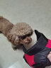 SLPC狗狗衣服中型犬柯基薩摩保暖冬裝博美泰迪小狗棉服馬甲大狗厚衣服 紅 L建議10斤內(nèi) 曬單實(shí)拍圖