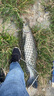 老刀青魚(yú)漂大物漂加粗醒目跑鉛漂無(wú)鉛自立漂滑鉛飛鉛釣魚(yú)浮漂大魚(yú)漂 7目無(wú)鉛自立漂(2.0克跑鉛漂） 曬單實(shí)拍圖