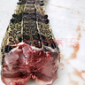 隆港匯 新鮮現殺 帶皮鱷魚(yú) 人工養殖 食用鱷魚(yú) 廣西生鮮鱷魚(yú)肉 新鮮鱷魚(yú)尾巴肉5斤裝 曬單實(shí)拍圖