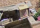 蜂之家多功能蜂箱全杉木烘干碳化廣式蜜蜂土蜂箱全套中蜂箱子土養(yǎng)誘蜂箱 碳化板【雙開門】三用蜂箱 曬單實拍圖