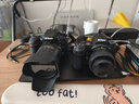 尼康/Nikon Z5 Z6 Z6II Z7 Z8 Z30 Z50 Zfc 高像素4K視頻全畫(huà)幅微單 Z6 II+Z 24-50套機 99新 曬單實(shí)拍圖