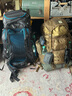 GREGORY格里高利FOCAL 展翼系列戶外運動輕量化徒步登山包背包 48L-光澤黑 M 曬單實拍圖