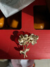 古語(yǔ)今風(fēng) 復古風(fēng)中國風(fēng)小胸針古典胸花別針簡(jiǎn)約配飾民族風(fēng)披肩扣女 依柔 曬單實(shí)拍圖
