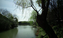 PURAIN 紫雨學(xué)生數(shù)碼相機(jī)4K入門級(jí)ccd照相機(jī)翻轉(zhuǎn)屏校園高清旅游vlog隨身微單卡片機(jī) 5000w可旋轉(zhuǎn)屏幕-超清4K-美顏?zhàn)耘目?32G+OTG轉(zhuǎn)接頭+讀卡器 曬單實(shí)拍圖