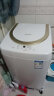 松下(Panasonic)婴儿童小型洗衣机全自动3.2公斤 迷你小波轮母婴洗专用内衣人工智能洗P3 XQB32-P3 晒单实拍图