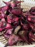 桃西村【順豐速運(yùn)】浙江嘉興特產(chǎn)南湖菱四角紅菱角新鮮當(dāng)季嫩菱角生吃 1000g 嫩菱角（只能生吃炒菜，不能水煮吃） 曬單實(shí)拍圖