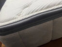 喜临门进口乳胶软垫 环保黄麻硬垫 七区独袋轻音弹簧床垫席梦思 飞跃 尊享3.0+光年plus3.0·1.8米*2米 实拍图