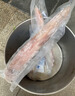 皆鄰東山島 海釣手釣大管魷魚 中國槍烏賊 海釣火箭魷 刺身 深海海鮮 手釣魷魚 600g(凈重) 曬單實拍圖