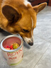 ROYALOPT狗狗零食蔬菜凍干水果狗糧伴侶無(wú)添加孢子甘藍狗狗零食凍干拌糧貓 水果凍干1桶 曬單實(shí)拍圖