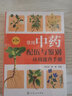 常用中藥配伍與鑒別應用速查手冊(第3版) 曬單實(shí)拍圖