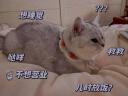 高爷家猫粮成猫益生菌猫粮冻干双拼全价猫主粮宠物粮2.0升级版 【JD物流】猫粮6kg 实拍图