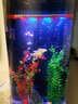美之海魚(yú)缸客廳家用中大型歐式落地半圓柱形水族箱免換水生態(tài)金魚(yú)缸 白色 50x50x138cm 曬單實(shí)拍圖