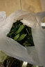 千牛優(yōu)福新鮮羅勒葉50g-500g 食用西餐香料九層塔 披薩草 甜羅勒 歐羅 100g 曬單實(shí)拍圖