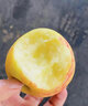 GANXIAN南非牛頓小蘋(píng)果【順豐】進(jìn)口小蘋(píng)果當季新鮮水果迷你小蘋(píng)果 進(jìn)口嘎啦小蘋(píng)果（單果80-110g） 15個(gè)裝 曬單實(shí)拍圖