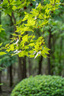 騰龍（Tamron）官方旗艦店70-180mm F/2.8 索尼E卡口全畫幅大光圈微單遠(yuǎn)攝中長焦鏡頭A056 一代/A065 二代 SONY微 【經(jīng)典款】A056 70-180mm F/2.8 套餐一 曬單實(shí)拍圖