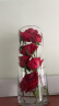 盛世泰堡玻璃花瓶透明插花瓶水培容器大花瓶新居客厅桌面摆件 直筒款1230 实拍图