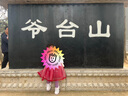 G·DUCK KIDS女童運(yùn)動(dòng)鞋春秋季新款2024兒童跑步鞋休閑老爹鞋軟底女寶時(shí)尚鞋子 YQ-9001紫色網(wǎng)鞋-清爽透氣 26碼內(nèi)長(zhǎng)約16.1CM 曬單實(shí)拍圖