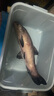 野營者魚竿手把套熱縮管防滑吸汗帶硅膠把手套熱縮套纏繞帶纏把帶 【紅色】直徑30mm長1m+剪刀 曬單實(shí)拍圖