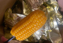 內蒙古黃糯玉米黃金八厘米玉米粒獨立真空包裝黑糯粗糧早餐粘玉米 香甜軟糯東北黃糯玉米2500g*1箱 曬單實(shí)拍圖