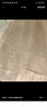 紅袖小眾氣質(zhì)雪紡衫2025春季新款女裝花朵剪花流蘇微喇一字領(lǐng)短上衣 米白004 L 曬單實(shí)拍圖