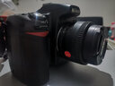 尼康 NikonD90 D5300 D5200 D5600入門(mén)級半畫(huà)幅二手單反照相機數碼高清旅游套機 尼康 D80 機身(不含鏡頭) 95新 曬單實(shí)拍圖