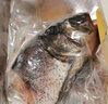 太湖?！居袡C(jī)胖頭魚】 淡水大魚類水產(chǎn) 南都湖花鰱鳙魚生鮮年貨團(tuán)購(gòu)禮盒 10斤【大魚禮盒裝】-整條分割 曬單實(shí)拍圖