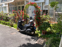 裕祥（YS）摩托車電瓶12V7a免維護(hù)本田雅馬哈通用5ah水電池大排機(jī)車干蓄電池 （10.2）MTX5L-BS公主-免維護(hù) 曬單實(shí)拍圖