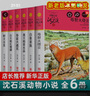 【新華書店】沈石溪動物小說全集36/40冊全套品藏書系 8-10-12-15歲兒童文學三四五六年級中小學生課外閱讀書籍 狼王夢 斑羚飛渡 第七條獵狗 【紅色特輯】沈石溪動物小說6冊 曬單實拍圖