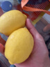 裕農叔【京東直送】新奇士檸檬新鮮進(jìn)口水果皮薄多汁黃檸檬茶飲品店專(zhuān)用 1斤 商超級大果（單果120g+） 曬單實(shí)拍圖