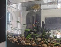 海諳金晶超白魚缸大型中型小型水族箱烏龜缸長方形正方形客廳造景魚缸 直角超白10*10*10cm/4毫米 曬單實拍圖