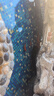 招財如意精品錦鯉魚高端觀賞魚冷水魚好養(yǎng)耐活魚純種大魚風(fēng)水紅白大正金魚 精品紅白錦鯉 14-16cm3條(測量發(fā)貨) 曬單實拍圖