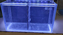 YEE超白斗魚(yú)缸玻璃多格隔離背濾免換水客廳小型生態(tài)泰國斗魚(yú)排缸 【高配帶燈】背濾斗魚(yú)缸30*16*12cm+三色燈 曬單實(shí)拍圖
