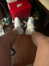 匡威（Converse）官方 Pro Blaze Classic男女復(fù)古籃球鞋A09850C A09850C 40 曬單實(shí)拍圖